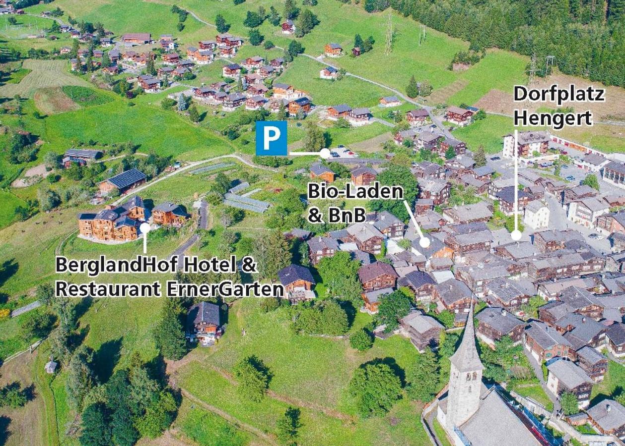 Berglandhof Hotel Ernen المظهر الخارجي الصورة